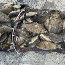 연안낚시터 이미지