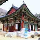 세움보조기 이미지