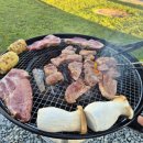 하이브로우 | 아산 파라다이스도고 캐빈파크 하이브로우 카라반 숙박 바베큐 후기