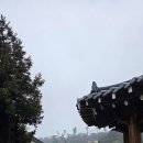 광령키즈북카페