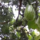 새벽농장 이미지