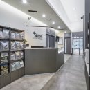 동탄 스케치 동물 병원 이미지