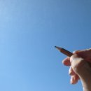 욕망의 열매 이미지