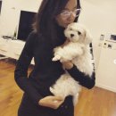 김지호 카카오 검색결과