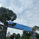 GR(무주군)-[한풍루로]-하-15 | 혼자 다녀온 무주산골영화제 후기#1 (당일치기ver.)