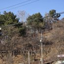 판암근린공원 | 두번째 대전 1박2일 솔직후기