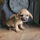 간동파출소 이미지