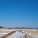 냉정리 마을회관 | 서울근교 걷기 좋은 길 || 포천 냉정들판, 철새의 비상은 덤