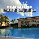 팔마체육시설 팔마수영장 | 마요르카 공항 근처 팔마 숙소 추천 ‘그루포텔 플라야 드 팔마 스위트 앤 스파’