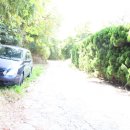 호박2호점
