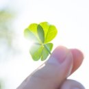 중랑캠핑숲공원 이미지