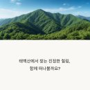 태백산 티스토리