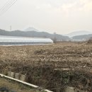 천동리목장 네이버블로그