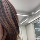몬트헤어
