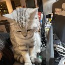 아이디온PC카페 이미지