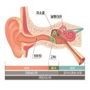 강북보아스이비인후과의원 이미지