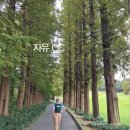 월송리CC OUT 코스 | 10월 라운딩 여주 골프장 자유CC OUT코스 라운딩 후기