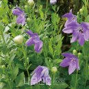 나무와창 이미지