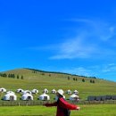 초원세탁소 이미지