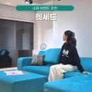 가족명품세탁 | 서울 소파 브랜드 추천 헷세드 명품 쇼파 연예인 픽