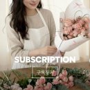 에이앤인베스트먼트