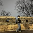 진우애드