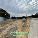 상효동-6 이미지