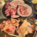 부산애견팡팡 | 부산 벡스코 맛집 | 해운대애견동반식당 하숙집 벡스코센텀점, 실패 없는 메뉴추천