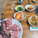 봄햄농장 이미지