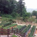 기산초교 이미지