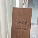 꼬숑 살롱
