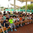 배꽃유치원 이미지