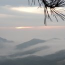 무위자연-태양 이미지