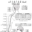 [경맥경혈도] 20종류 혈도면 이미지