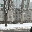 서울예쁜이치과 | 우리의 봄은 반드시 찾아온다