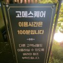 강동천호웰빙 | 천호역 맛집 추천, 고메스퀘어 천호점 평일 런치 완벽...주차와 역대급 가성비 스시 뷔페 솔직 후기 🍣🥗