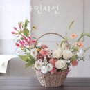 디자인시선 이미지