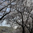 천향 | 양재천 근처 중국집 천향 도곡 직영점 후기
