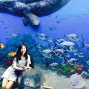 울산 - 장생포 고래 & 조선시대 염포왜관 이미지