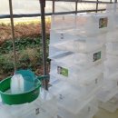 베스트농장 이미지