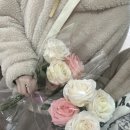 플라워토피아