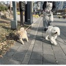 부산유치원 이미지