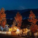 오스트리아캠핑 이미지