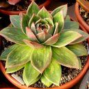 꿈의궁전 이미지