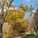 솔밭공원 농구장 | 고양시 피크닉 공원 이용 후기(B구역, 예매, 이용방법, 분위기)