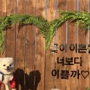 59독 이미지