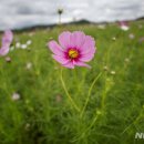 인천국제공항 하늘정원 내 이미지