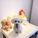 예슬어린이공원 네이버블로그