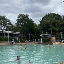 위형수농장 | 🇦🇺2025년 3월 / 두 번째 생존 신고