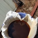 노루목농장 이미지